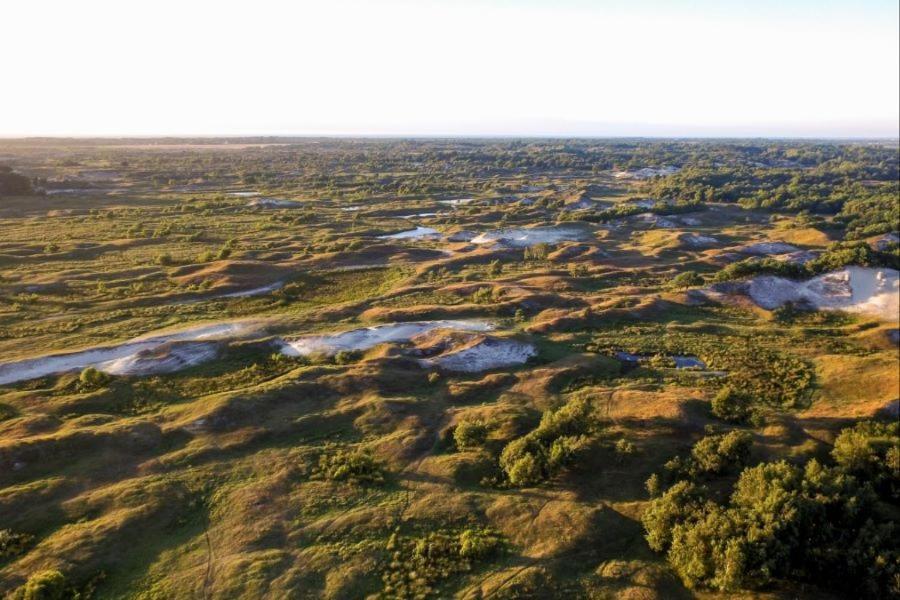 Heerlijk Vrijstaand Huis Aan De Duinen 巴勒哈姆斯泰德 外观 照片